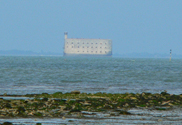 Fort Boyard